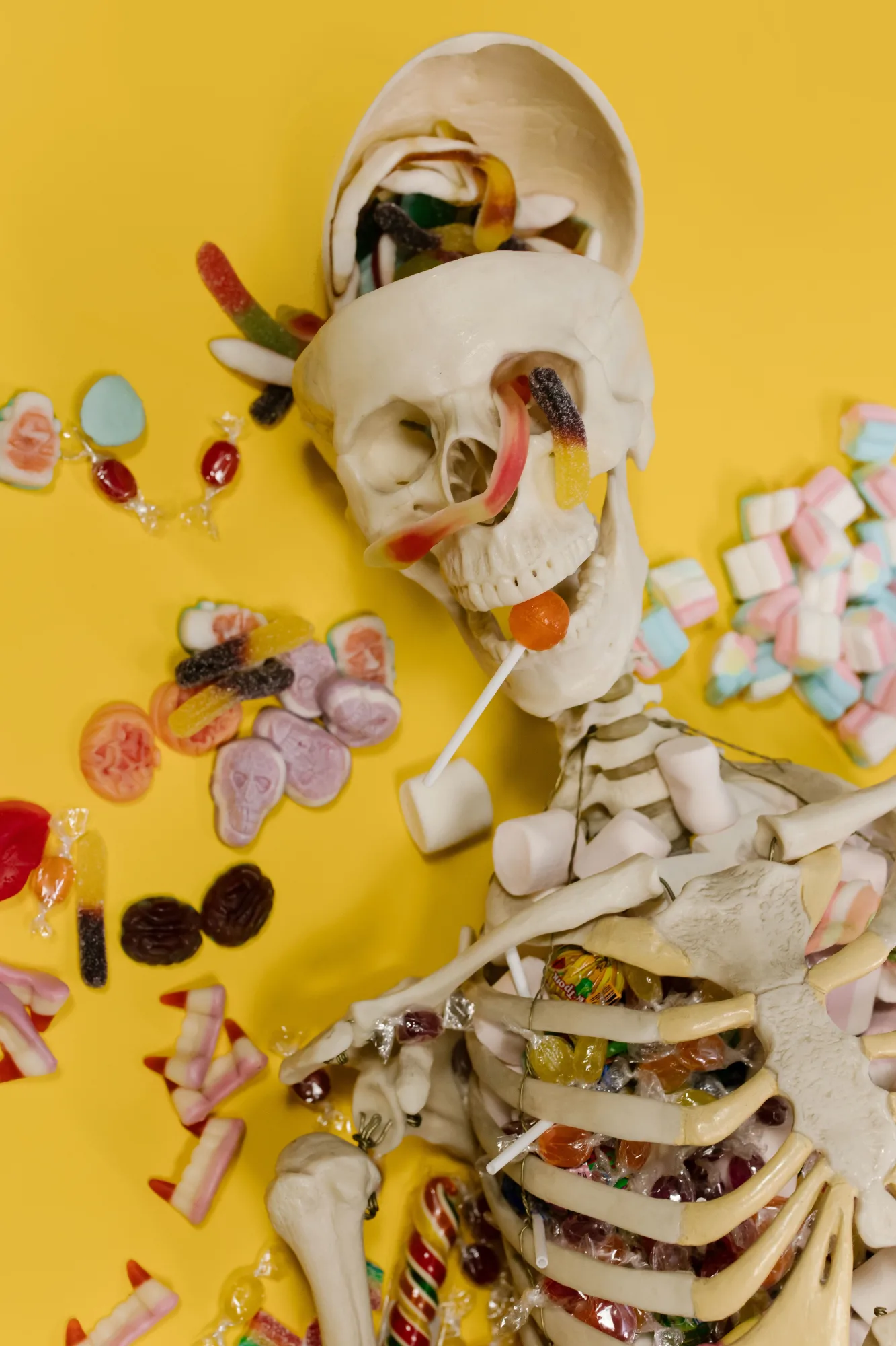 Fake skeleton with candy inside and surrounding it